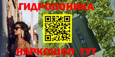 винт Донецк