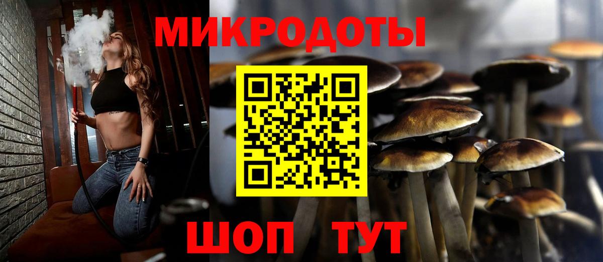 Псилоцибиновые грибы GOLDEN TEACHER Добрянка