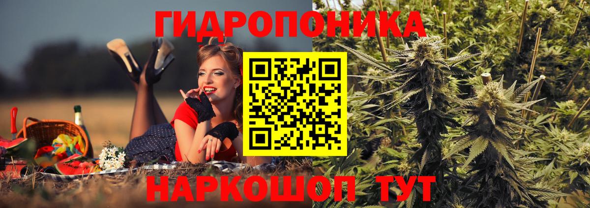 Шишки марихуана OG Kush  Вход с VPN  МАРИХУАНА индика  Конопля THC 21%  Добрянка 